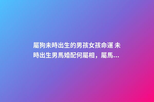 屬狗未時出生的男孩女孩命運 未時出生男馬婚配何屬相，屬馬男和什么屬相最配-第1張-觀點-玄機派